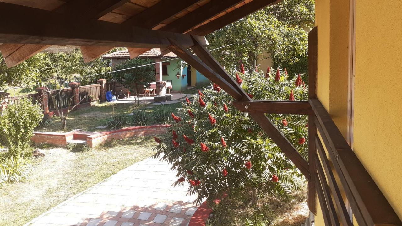 Village House Moo Moo Vranje Esterno foto