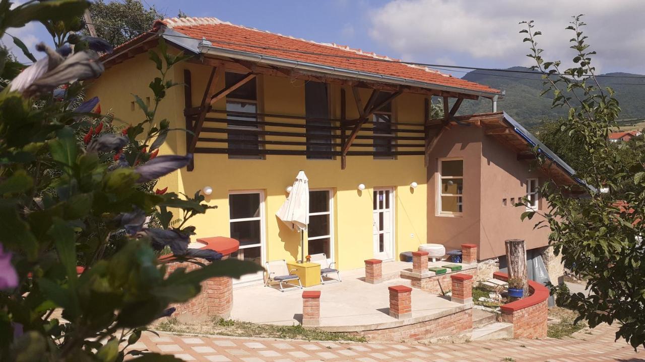 Village House Moo Moo Vranje Esterno foto